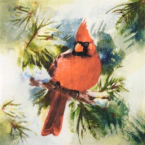 Paper Napkin - Winter Cardinal