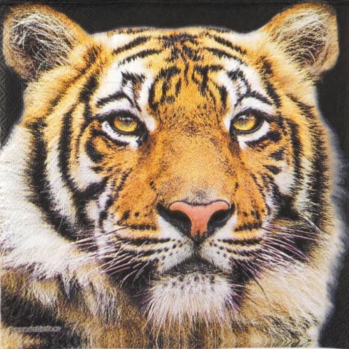 Paper Napkins - Bengal Tiger (20 pieces)