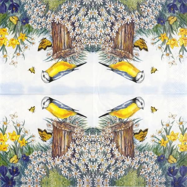 Paper Napkins - Bird Watching (20 pieces)