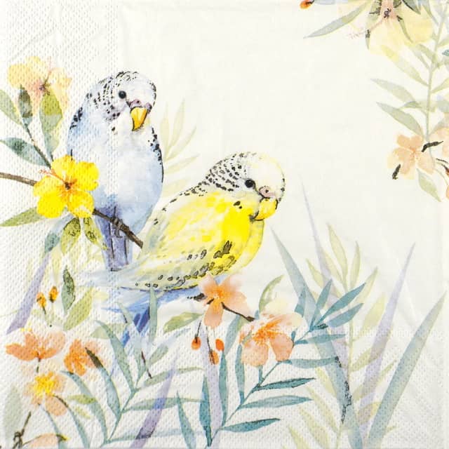 Single Decoupage Napkin - Budgies Couple