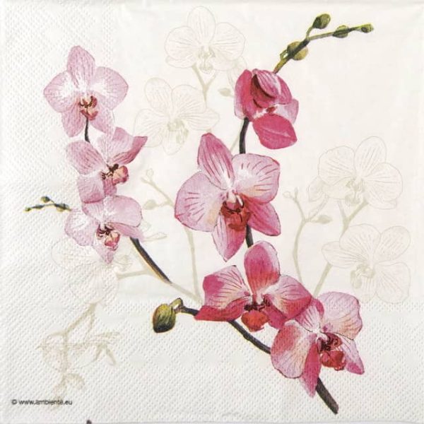 Paper Napkin - Orchid