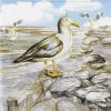 Single Decoupage Napkin -Seagull On The Shore
