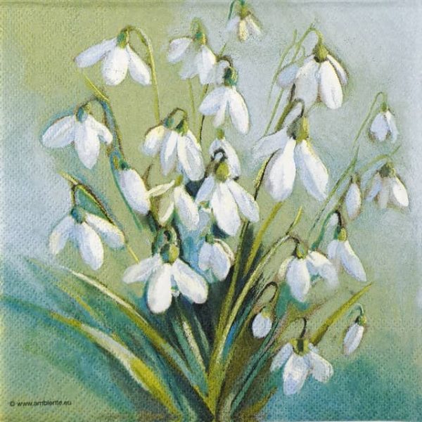 Paper Napkins - Snowdrops In Winter (20 pieces)