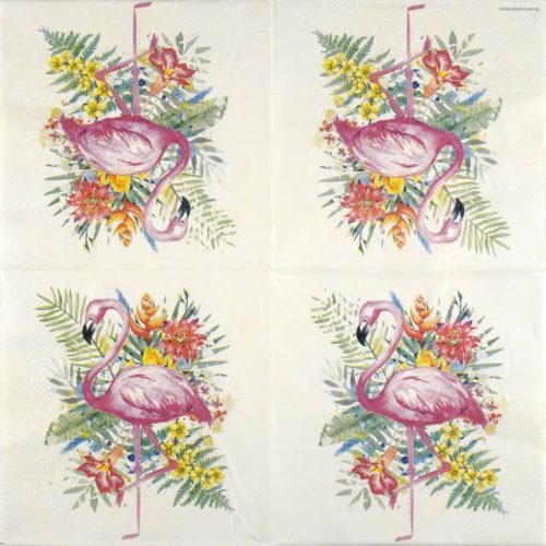 Ambiente-tropical-flamingo-13317230