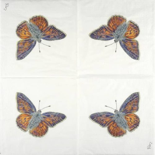 paper-napkin-PPD-papillon-133002187