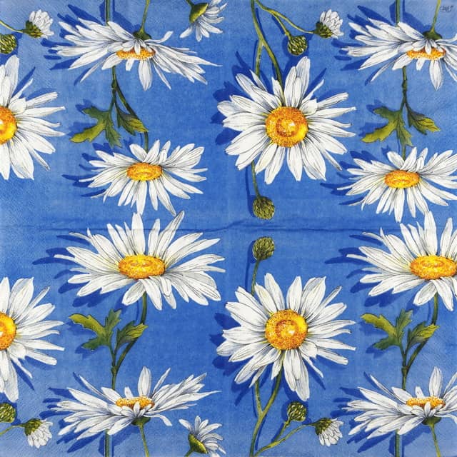 Paper Napkin Daisies on a blue background