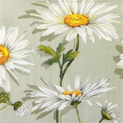 Paper Napkin Daisies on light green background