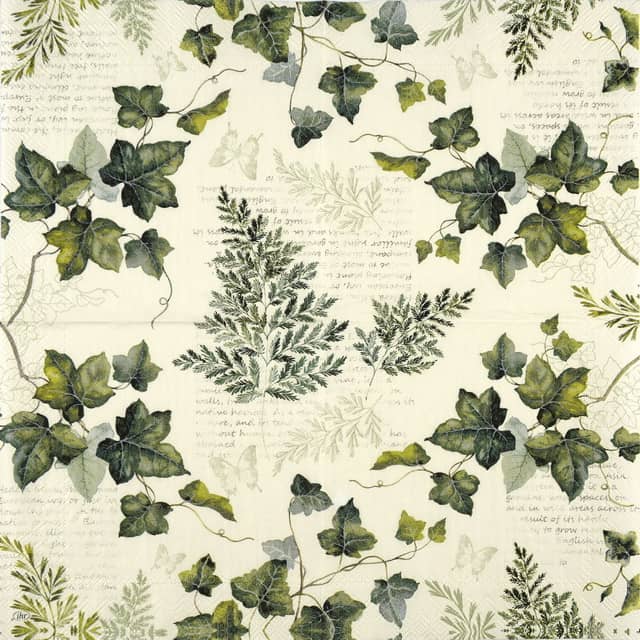 Paper Napkin Ivy Hedera