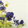 Paper Napkin - Pansies Frame