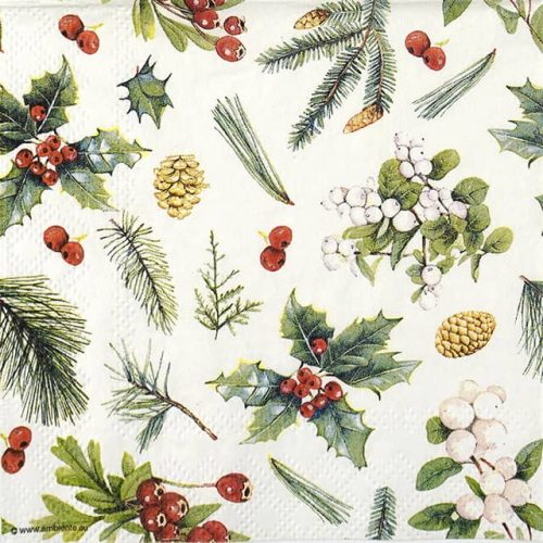 Paper Napkin - Winter greenery