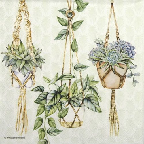 a group of plants from ropes