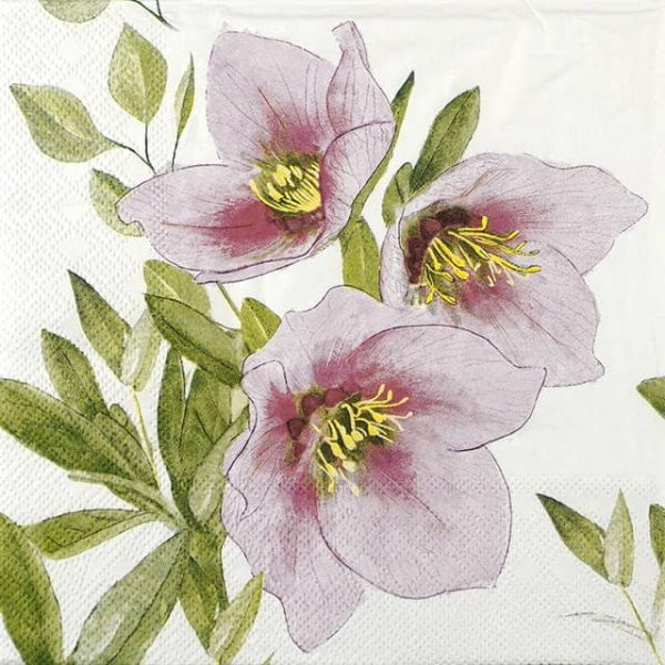 Paper Napkin - Classic Helleborus