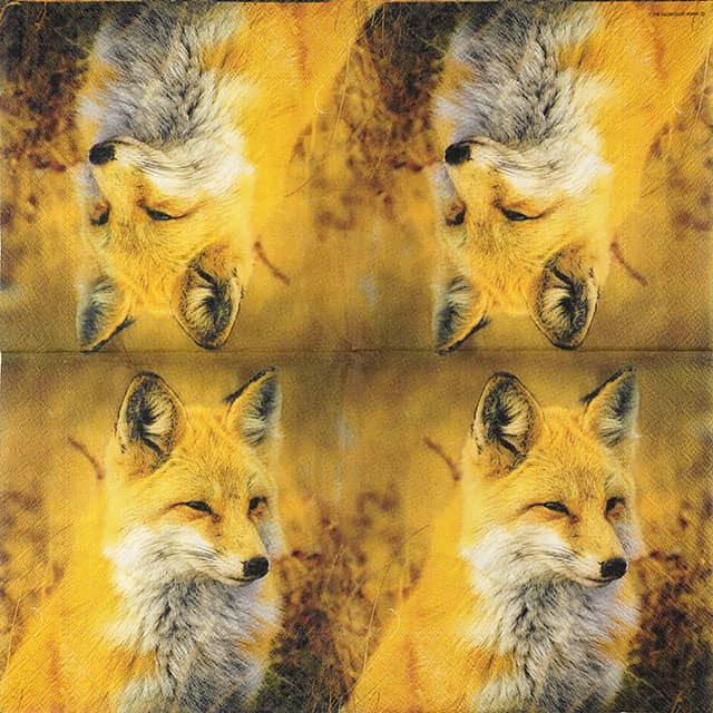 Paper Napkin - Fox