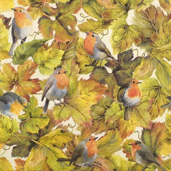 Paper Napkin Hidden Robins