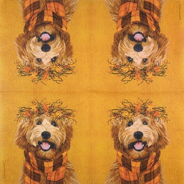 Paper Napkin Autumn dog