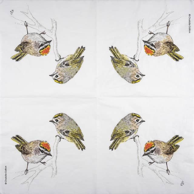 Paper Napkin Two birds
