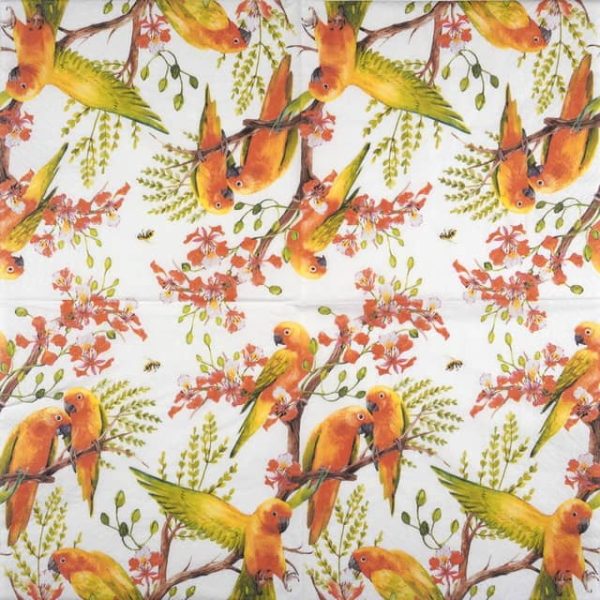 Paper Napkin - Exotic birds