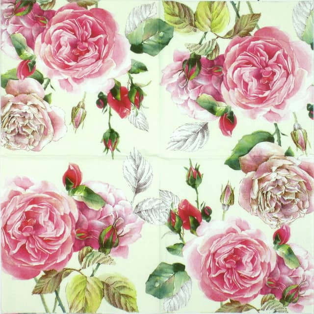 Ihr-tea-rose-white-541390