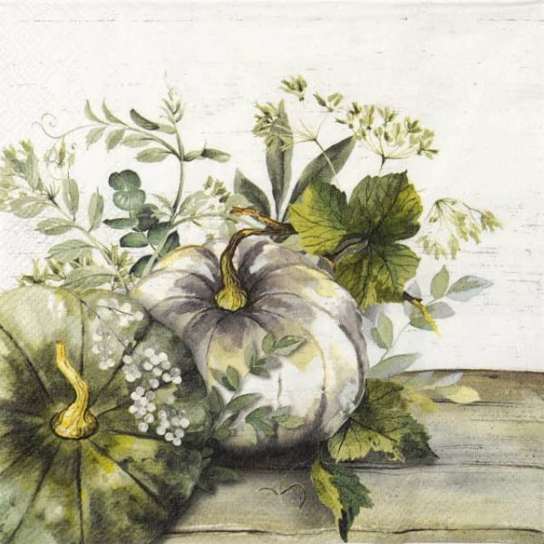 Paper Napkin - Green and White Pumpkin