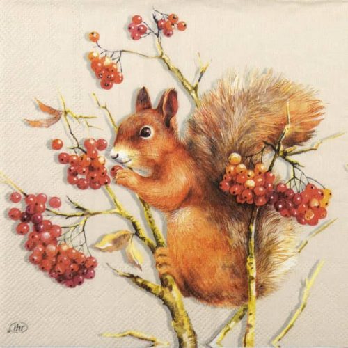 Paper Napkin Autumn Squirrel