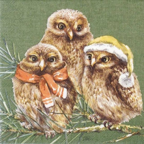 Paper Napkin - Winter Owls green