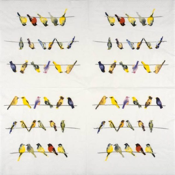 Paper Napkin - Birds community