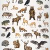 Rice Paper Decoupage - Animals