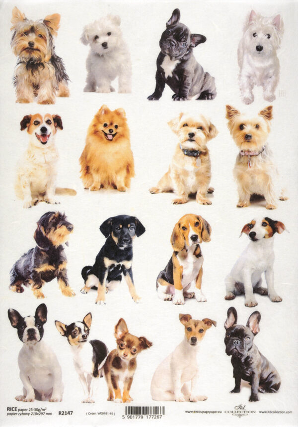 Rice Paper Decoupage - Cute Dogs