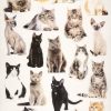 Rice Paper Decoupage - Cute Cats -