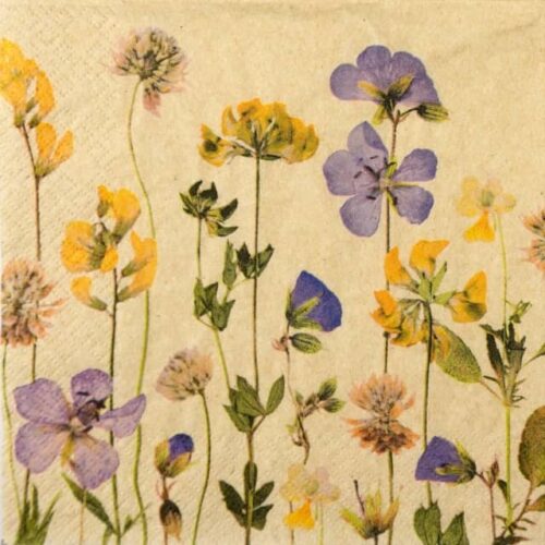 Paper Napkin - Pressed Flowers