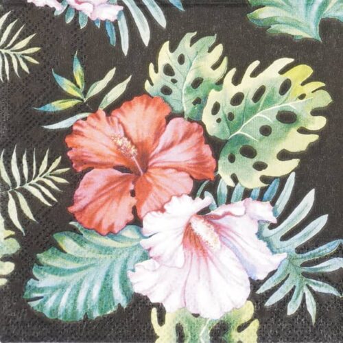 Paper-napkin-Ambiente-Hibiscus-floral-black-12513147