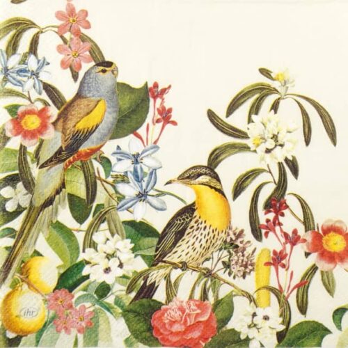 Paper Napkin - Jungle Birds cream