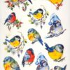 Decoupage Rice Paper A/4 - Colorful Birds - 0559