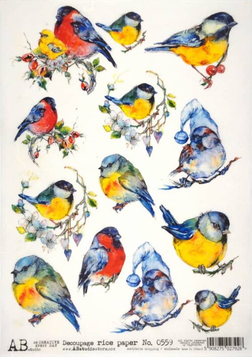 Decoupage Rice Paper A/4 - Colorful Birds - 0559