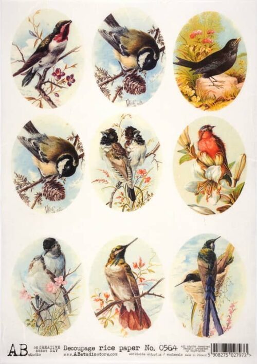 Decoupage Rice Paper A/4 - Birds in Nature - 0564