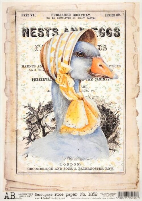 Decoupage Rice Paper A/4 - Duck Hat Fashion - 1852