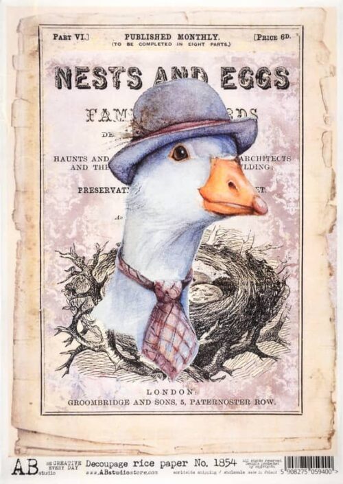 Decoupage Rice Paper A/4 - Duck Hat Fashion - 1854