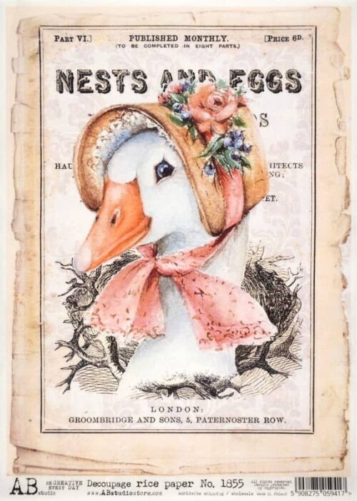 Decoupage Rice Paper A/4 - Duck Hat Fashion - 1855
