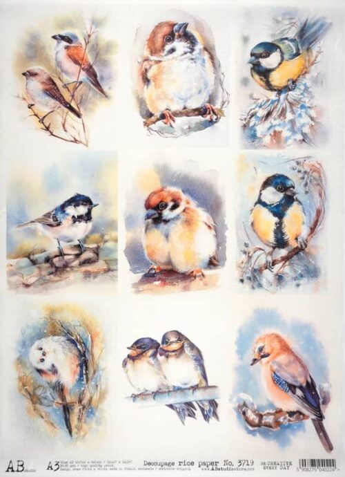 Decoupage Rice Paper A/3 - Cute Birds - 3719