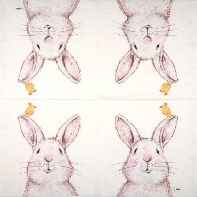 Paper Napkin - Rabbit & Friend
