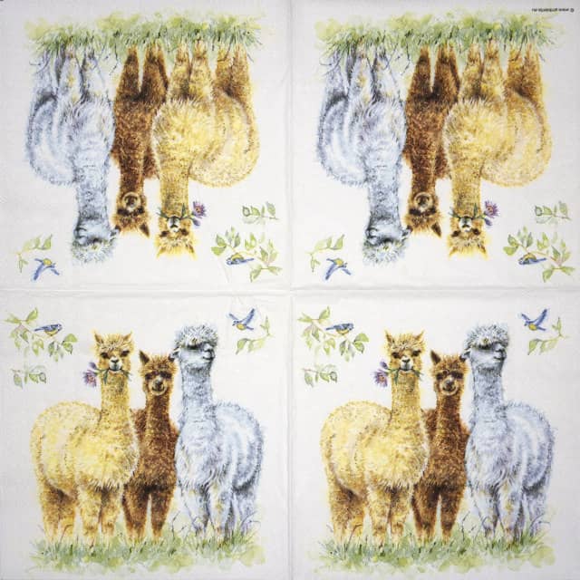 Paper Napkin - Alpaca Friends