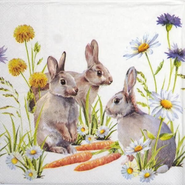 Paper Napkin - Carrot Treats