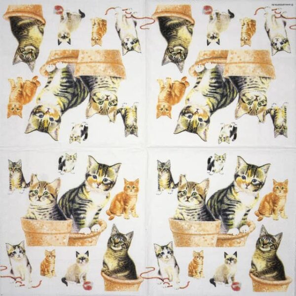 Paper Napkin - Cute kittens