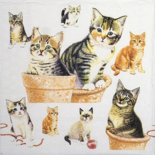 Paper Napkin - Cute kittens