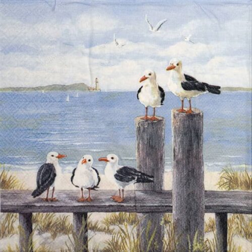 Paper Napkin - Seagulls on the Dock