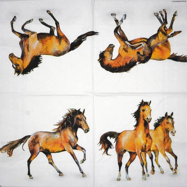 Paper Napkin - Wild horses