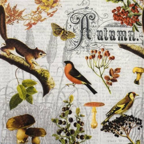 Paper Napkin - Autumn collage