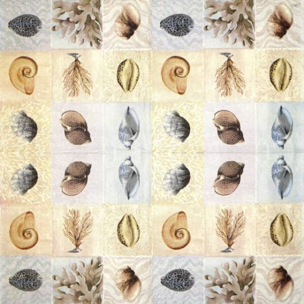 Paper Napkin - Beautiful Shells