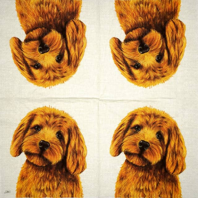 Paper Napkin - Farm Dog cream