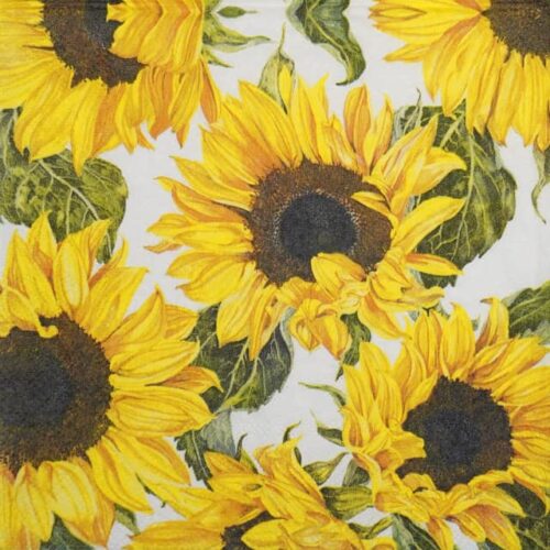 Paper Napkin - Sunflowers blossoming